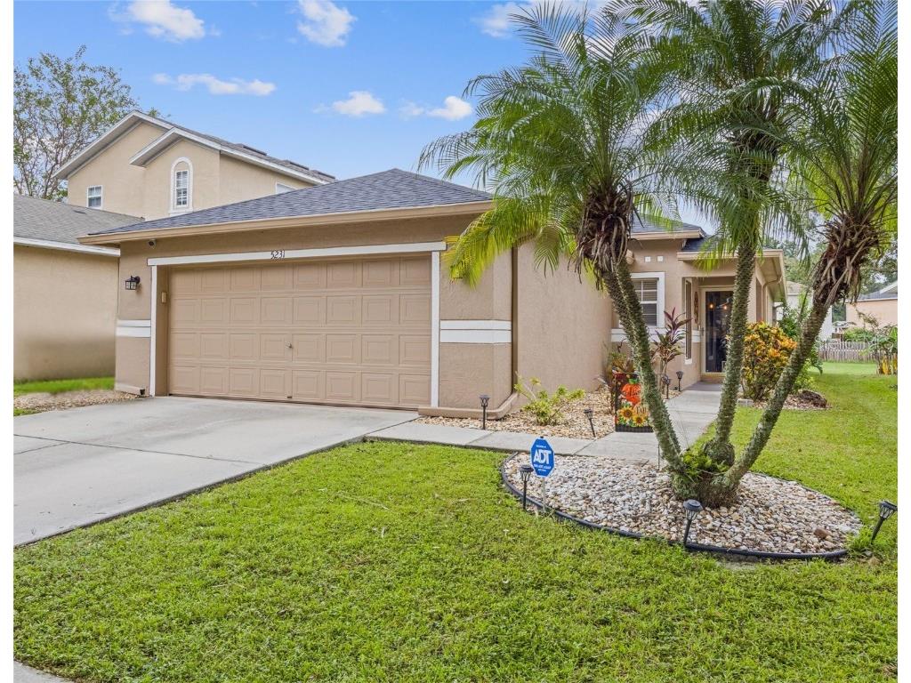 5231 Mango Fruit Street Seffner FL 33584 TB8308190 image1