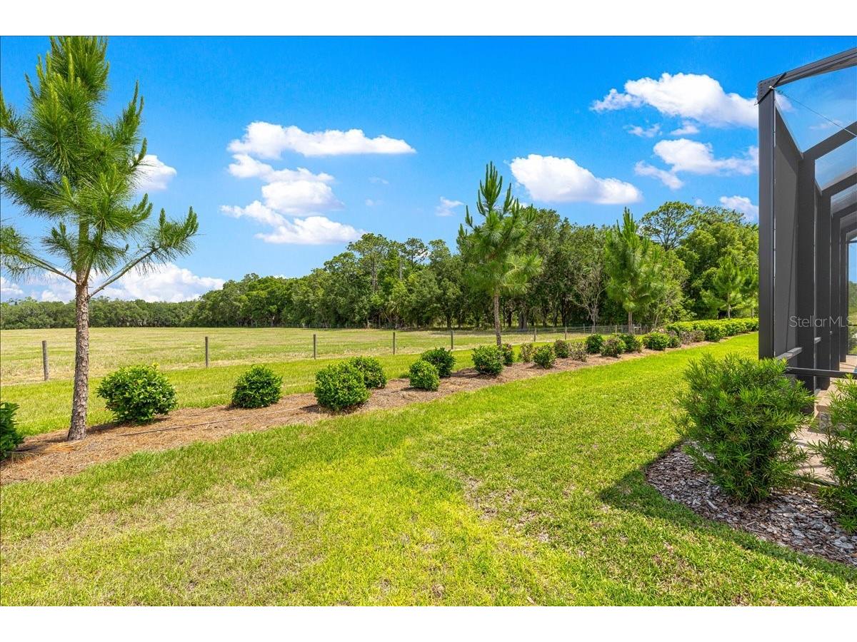 5231 SW 88th Circle Ocala FL 34481 OM723770 image49