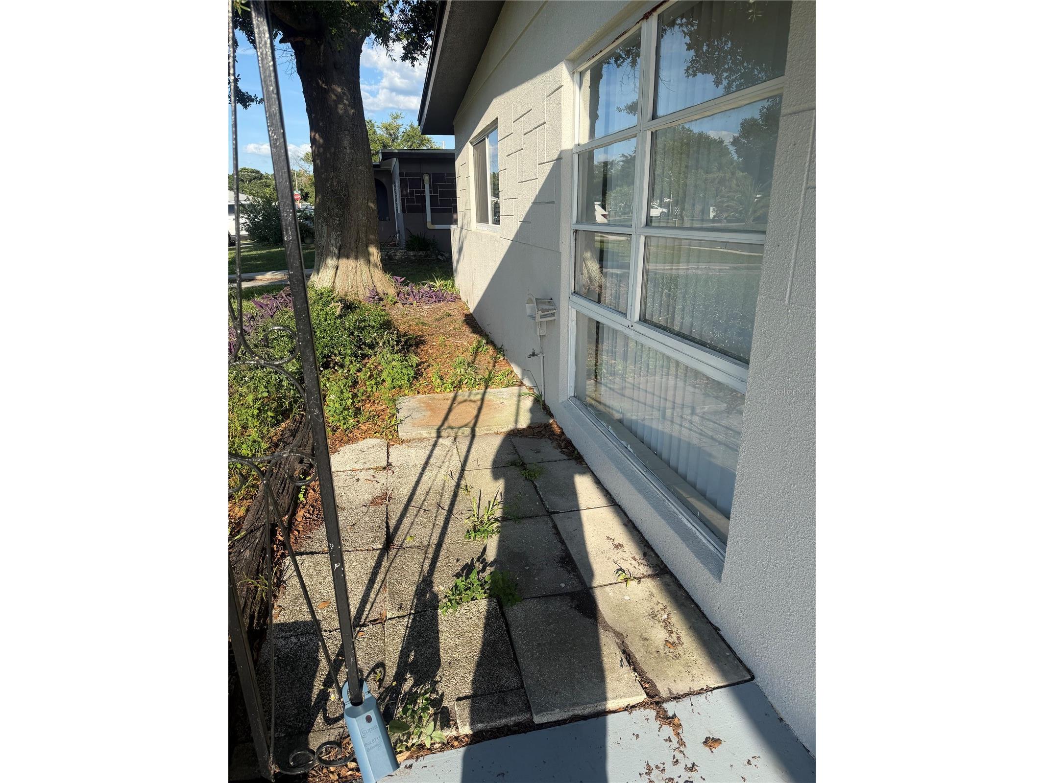 5232 Kapok Drive New Port Richey FL 34652 TB8517360 image2