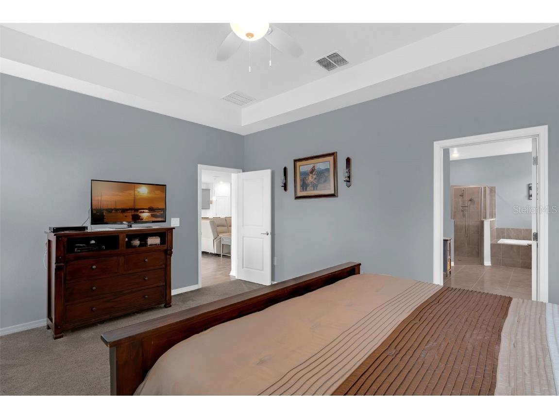 5232 Red Coral Mount Dora FL 32757 O6346932 image21