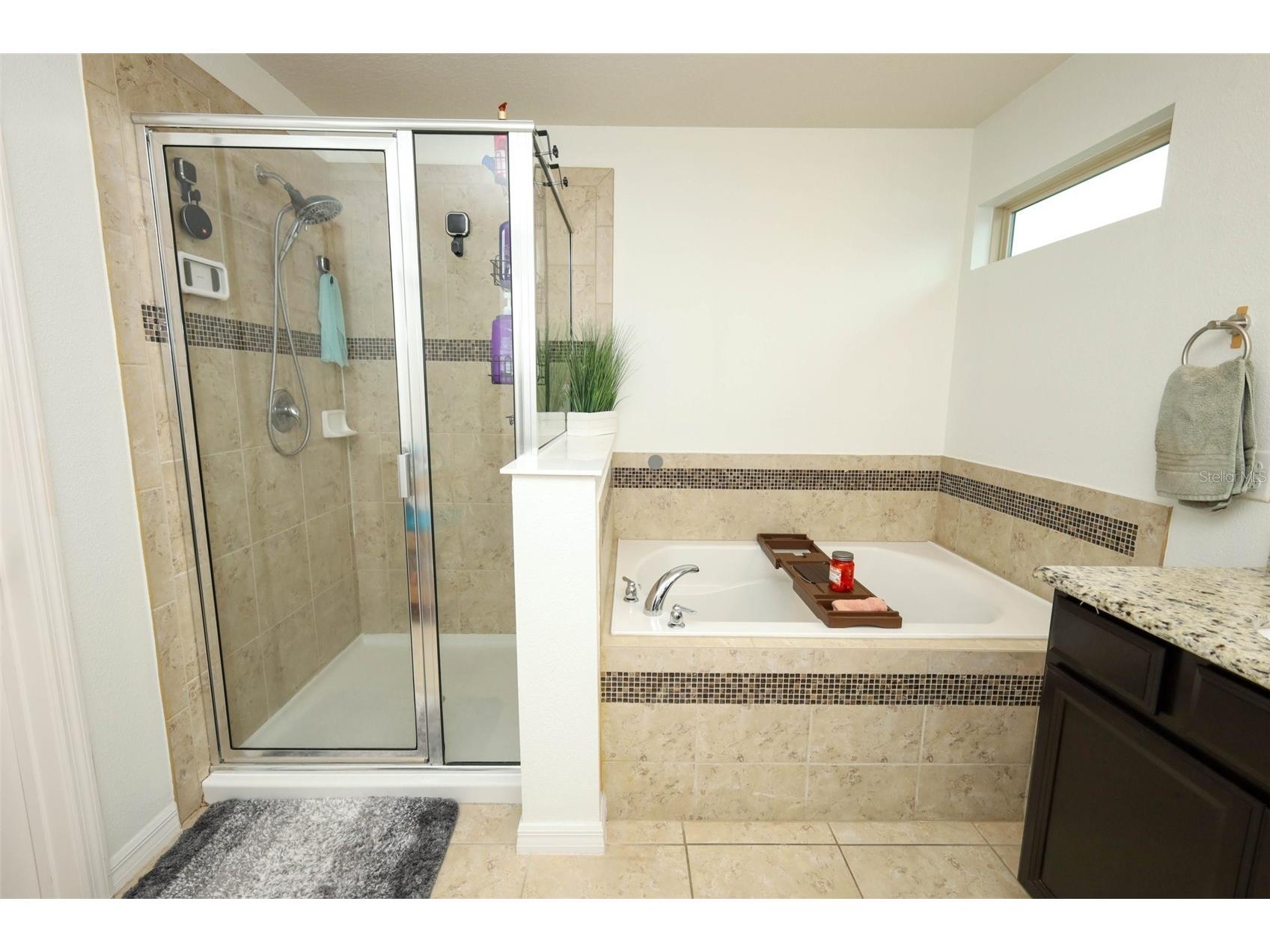 5232 Villa Rosa Avenue Saint Cloud FL 34771 O6405902 image37
