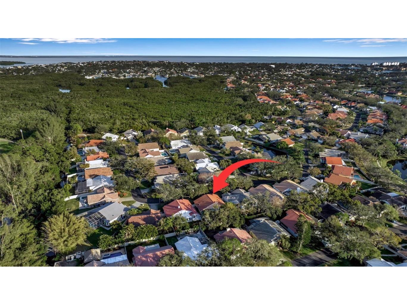 5232 White Sand Circle NE Saint Petersburg FL 33703 TB8346285 image52