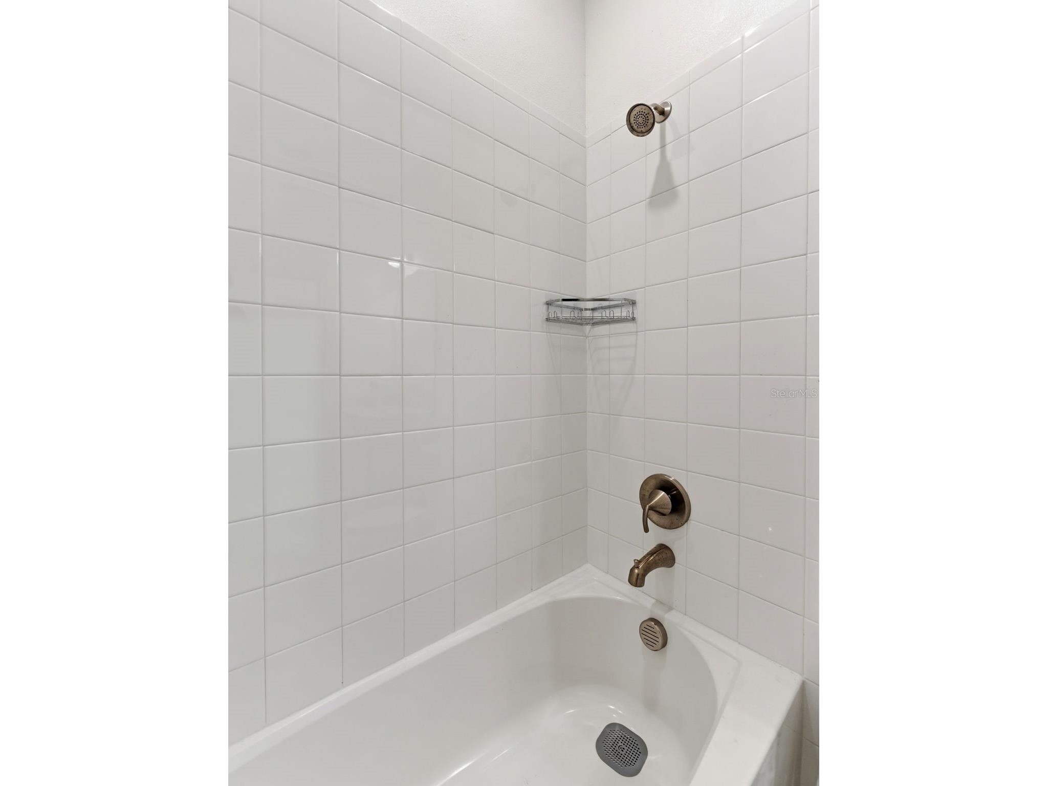 5232 Wishing Arch Drive Apollo Beach FL 33572 TB8512066 image26