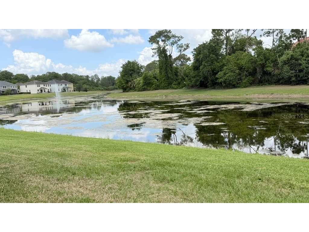 5233 Dove Tree Street Orlando FL 32811 O6405105 image44