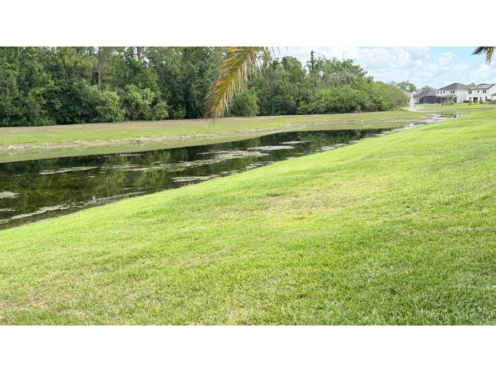 5233 Dove Tree Street Orlando FL 32811 O6405105 image45