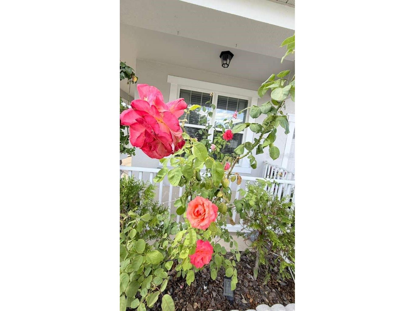 5233 Dove Tree Street Orlando FL 32811 O6405105 image47