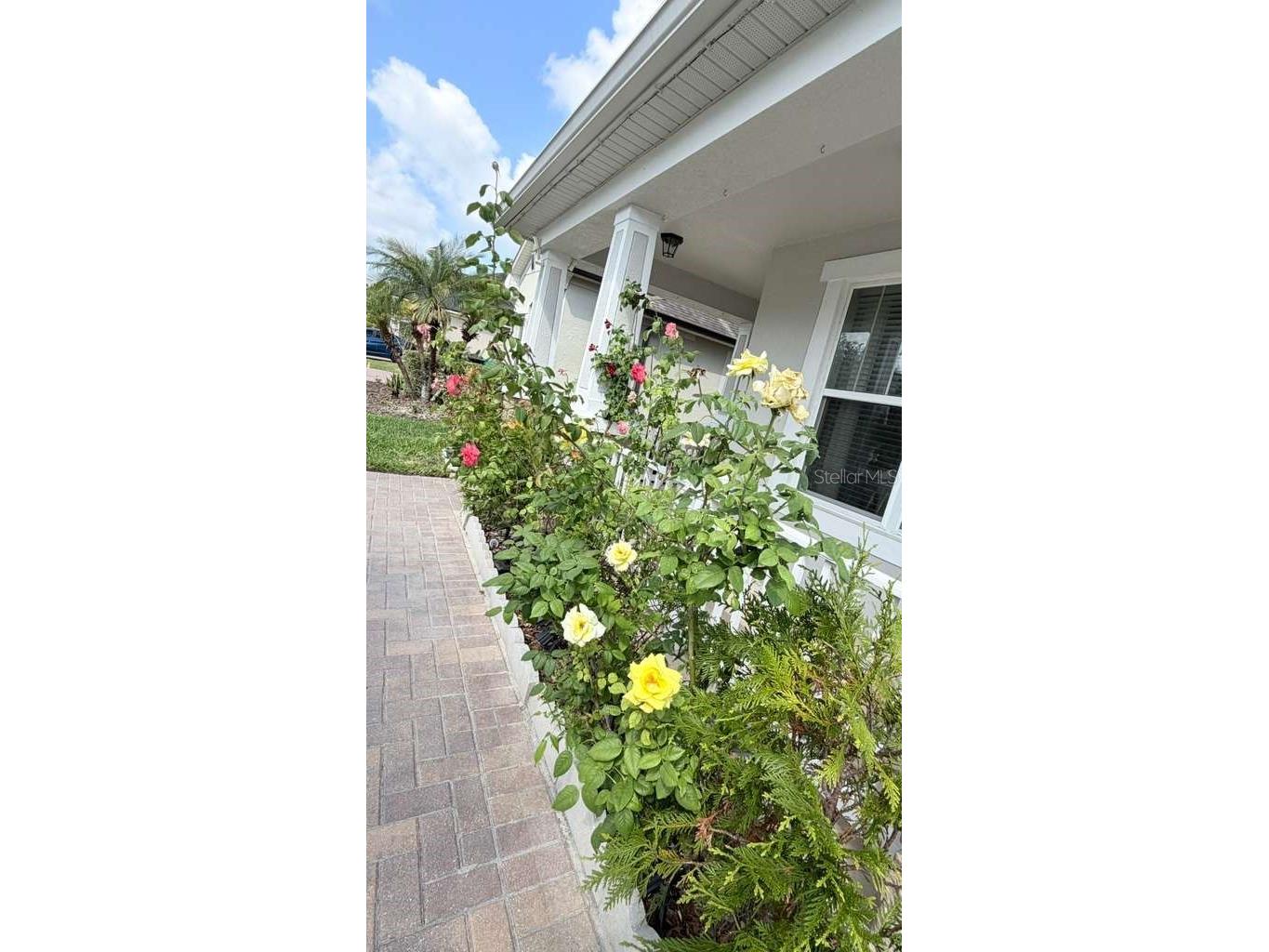 5233 Dove Tree Street Orlando FL 32811 O6405105 image48