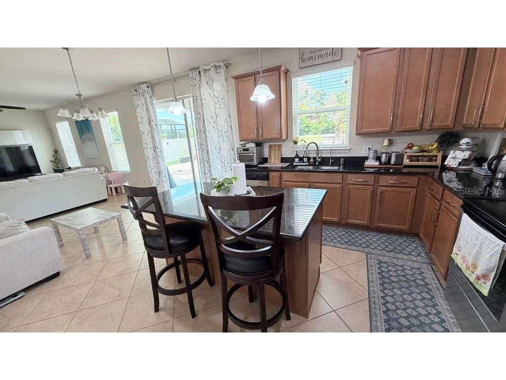 5233 Dove Tree Street Orlando FL 32811 O6405105 image8