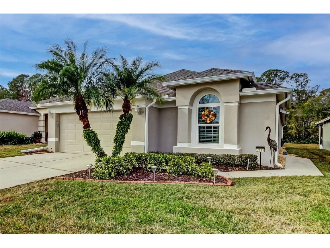 5233 Gato Del Sol Circle Wesley Chapel FL 33544 TB8341803 image1