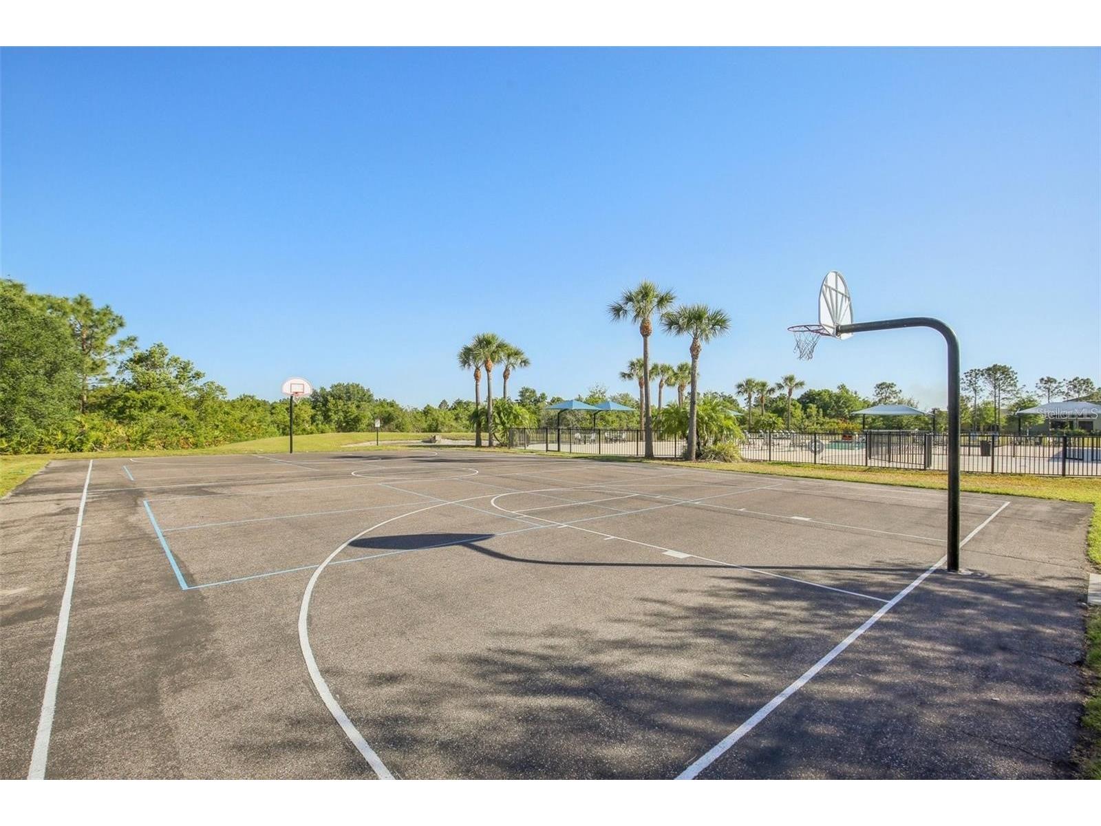 5233 Suncatcher Drive Wesley Chapel FL 33545 TB8516771 image50