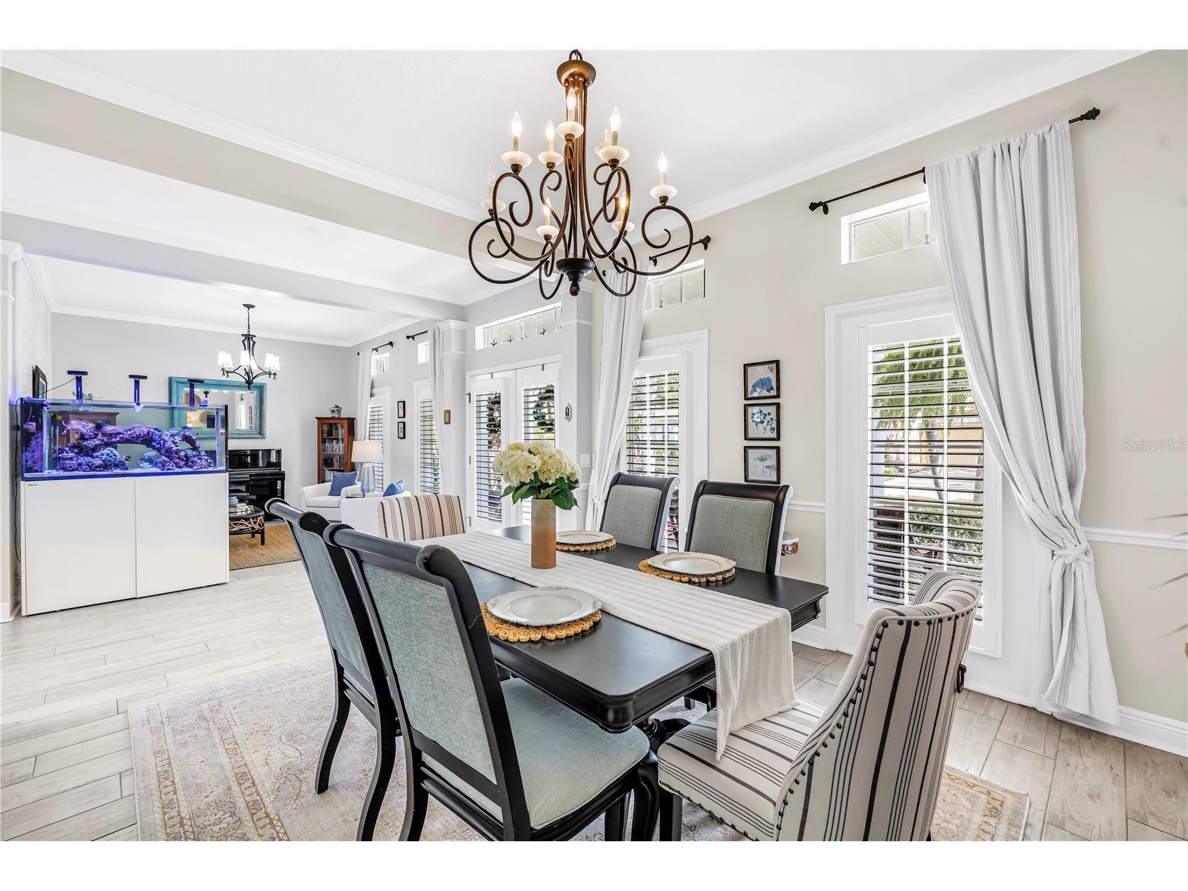 5234 Brighton Shore Drive Apollo Beach FL 33572 TB8483969 image11