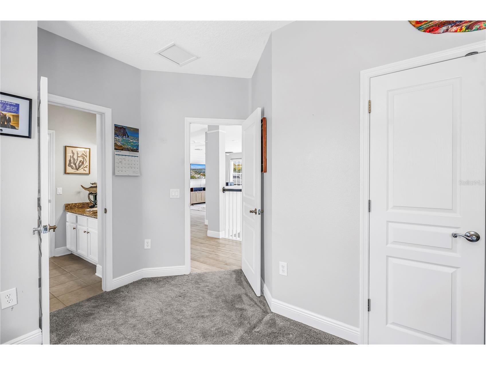 5234 Brighton Shore Drive Apollo Beach FL 33572 TB8483969 image49