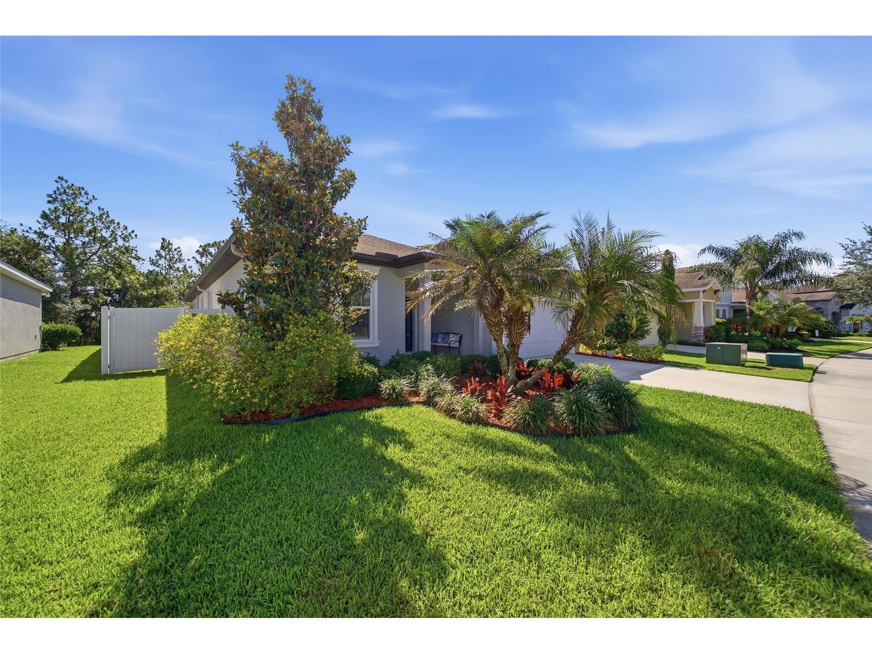 5234 Turtle Bay Drive Wesley Chapel FL 33545 TB8516741 image2