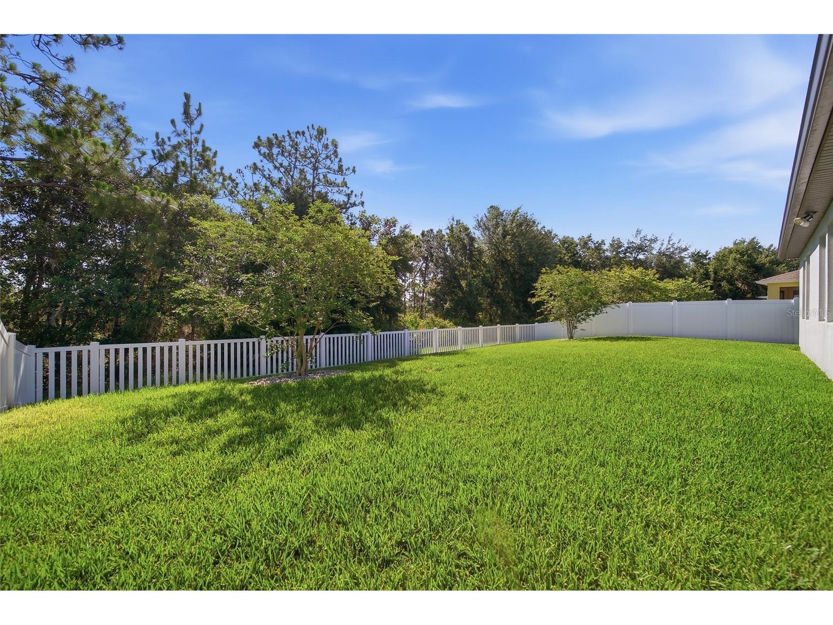 5234 Turtle Bay Drive Wesley Chapel FL 33545 TB8516741 image36