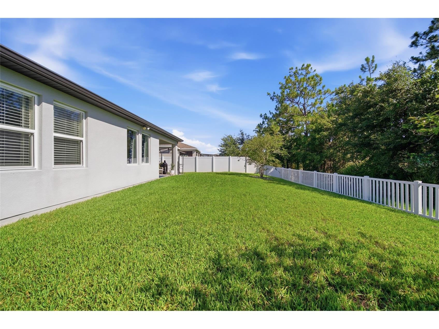 5234 Turtle Bay Drive Wesley Chapel FL 33545 TB8516741 image37