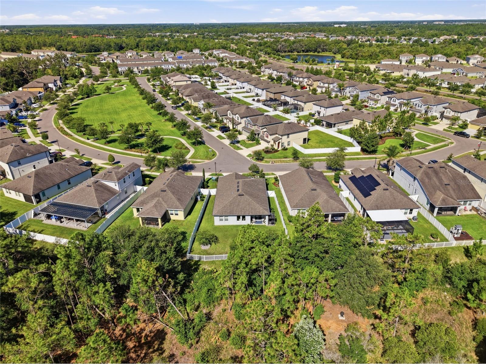 5234 Turtle Bay Drive Wesley Chapel FL 33545 TB8516741 image40
