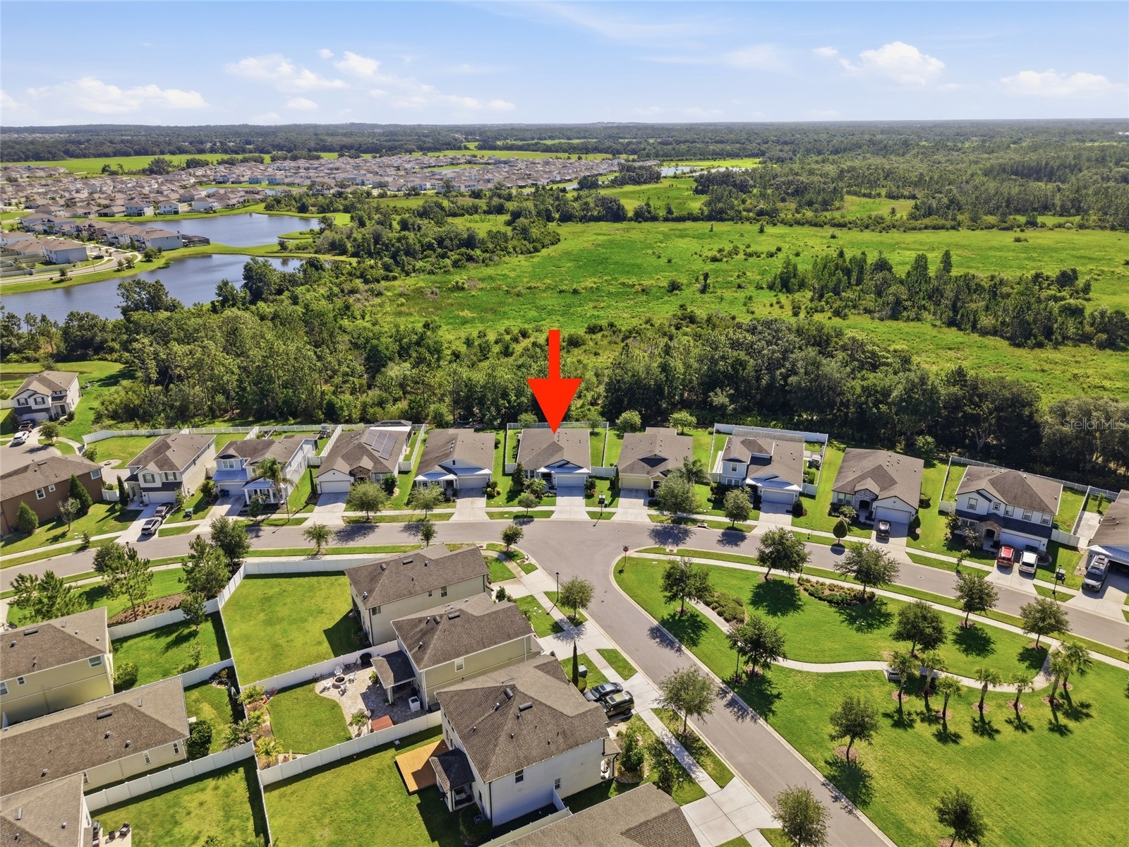 5234 Turtle Bay Drive Wesley Chapel FL 33545 TB8516741 image41