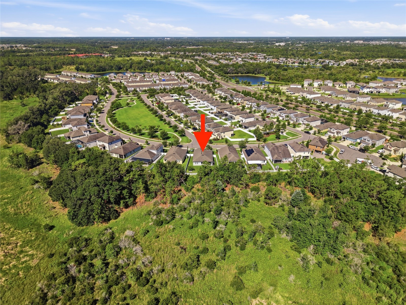 5234 Turtle Bay Drive Wesley Chapel FL 33545 TB8516741 image43