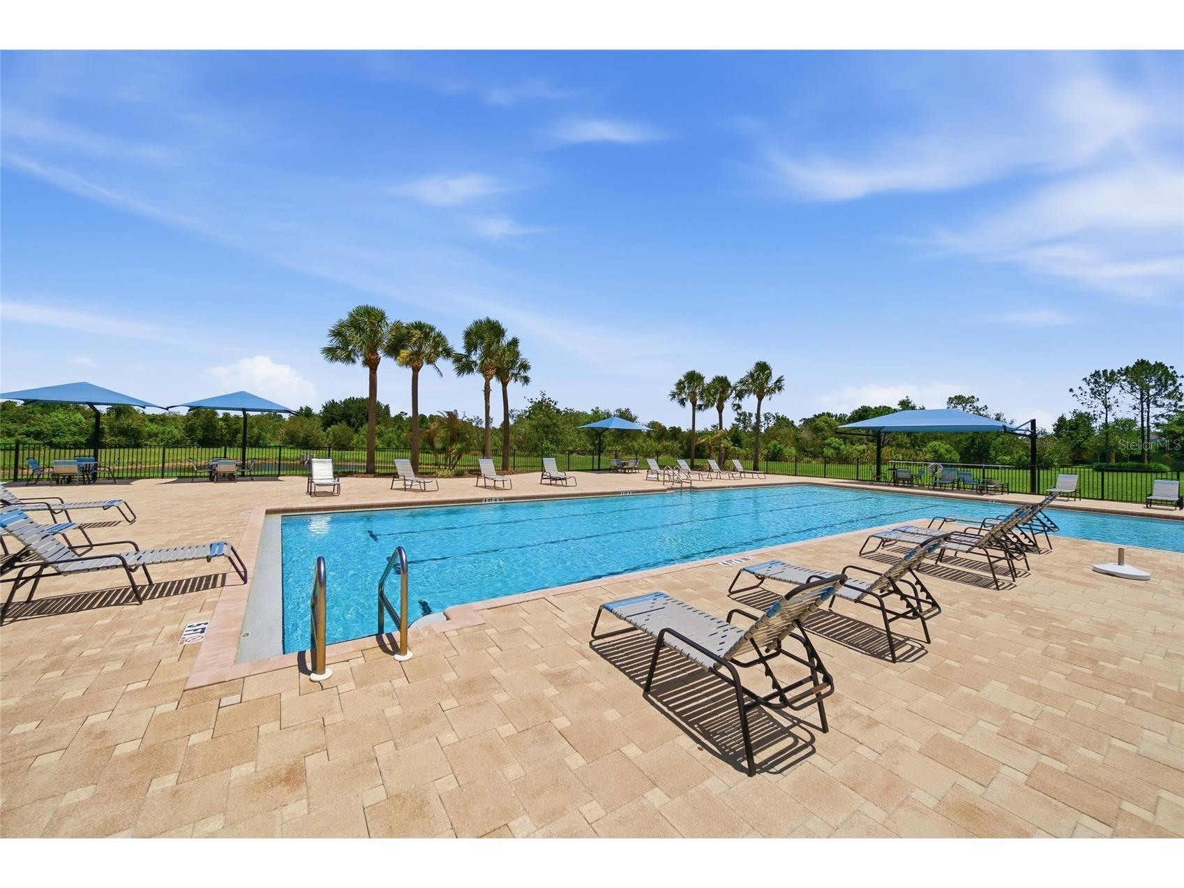 5234 Turtle Bay Drive Wesley Chapel FL 33545 TB8516741 image46