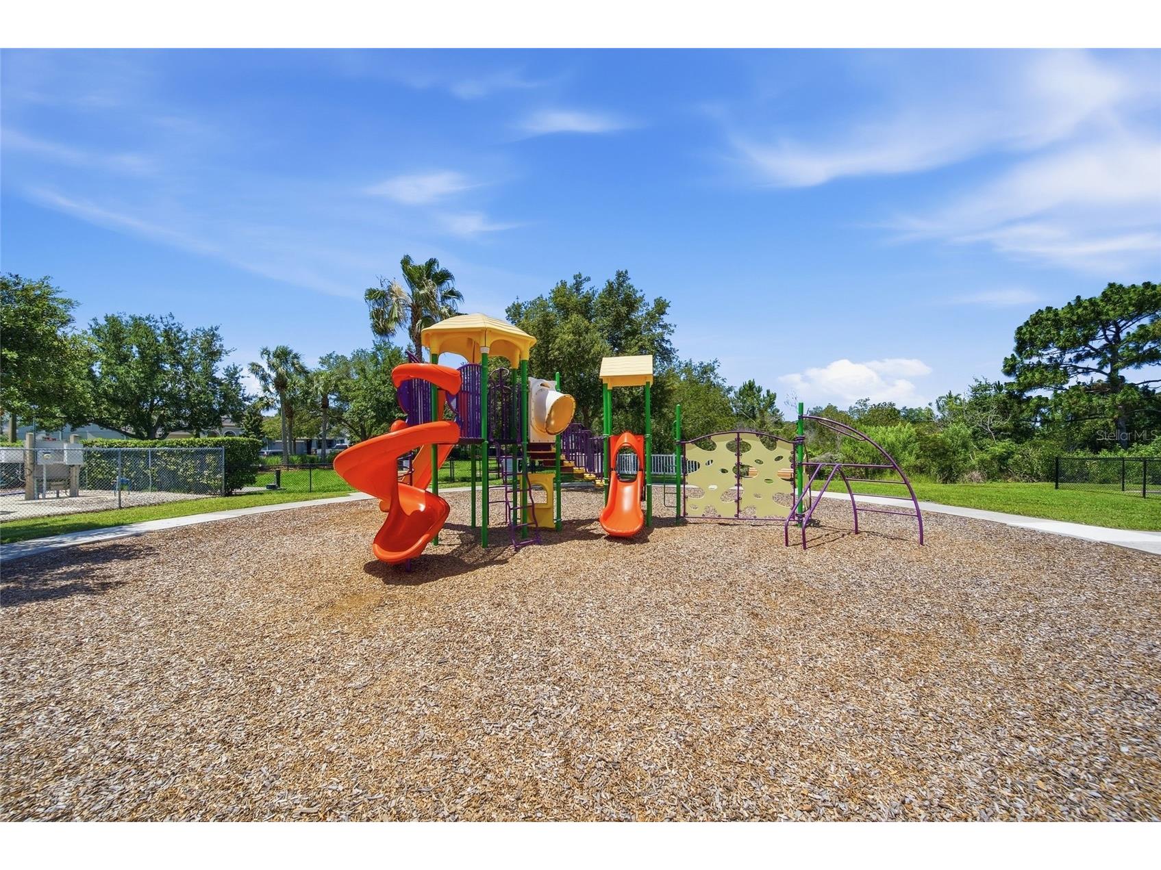 5234 Turtle Bay Drive Wesley Chapel FL 33545 TB8516741 image49