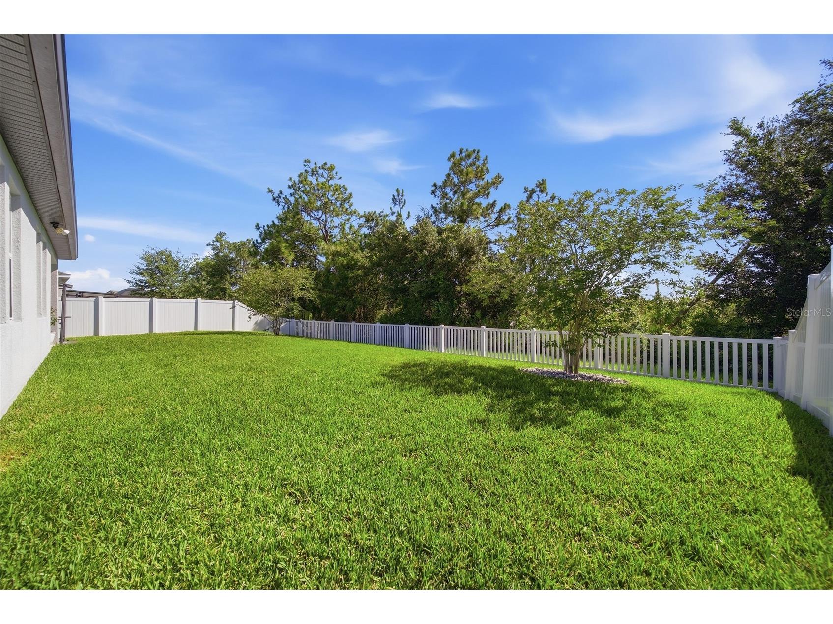 5234 Turtle Bay Drive Wesley Chapel FL 33545 TB8516741 image5