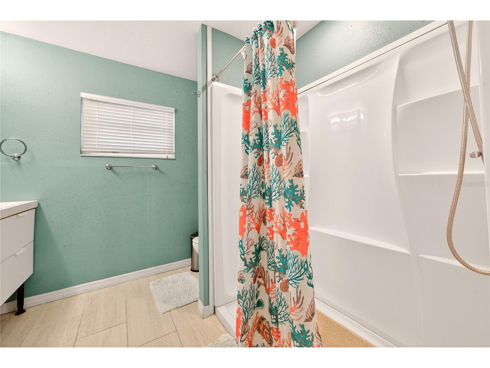 5235 40th Street S Saint Petersburg FL 33711 S5131134 image24