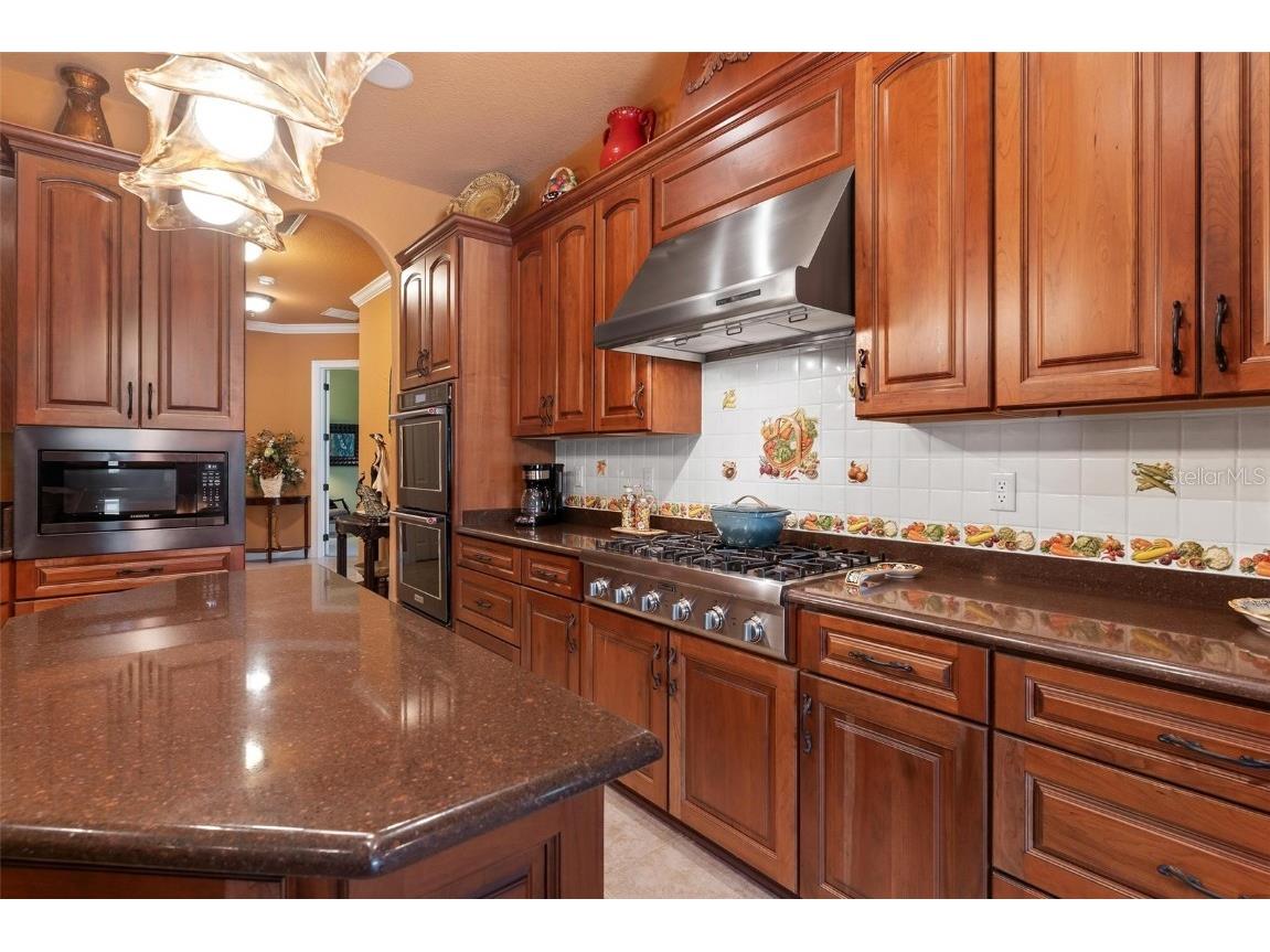 5235 Greens Drive Lady Lake FL 32159 G5098733 image41