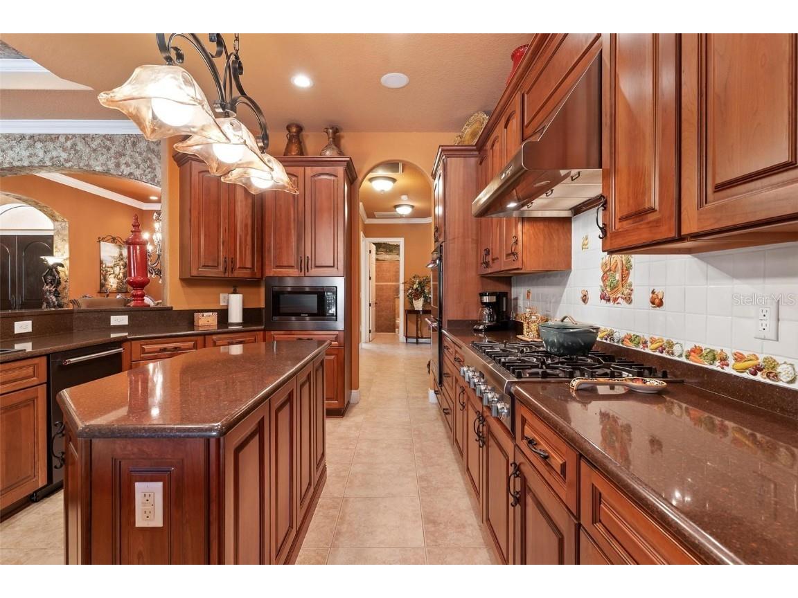 5235 Greens Drive Lady Lake FL 32159 G5098733 image45