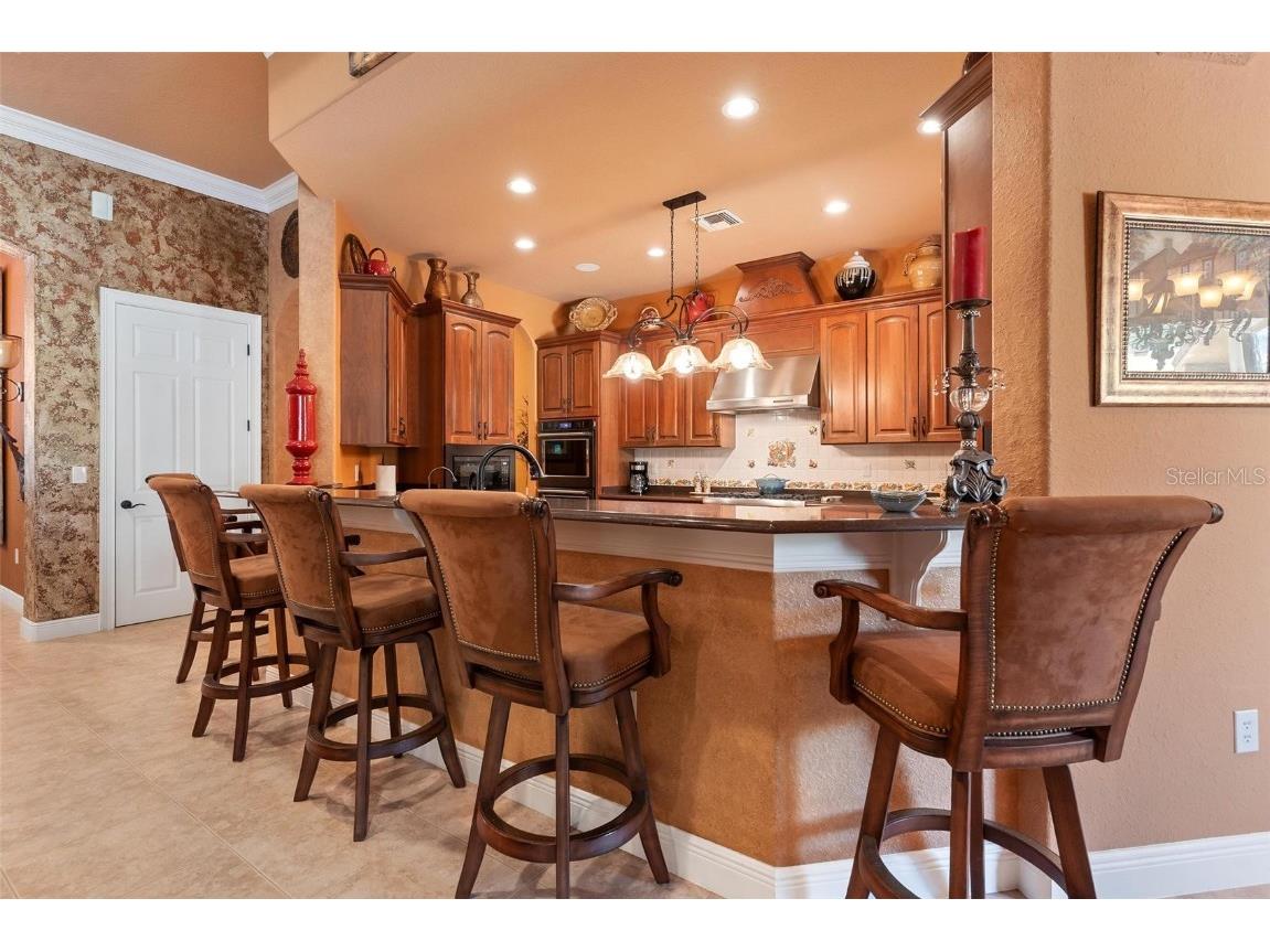 5235 Greens Drive Lady Lake FL 32159 G5098733 image46