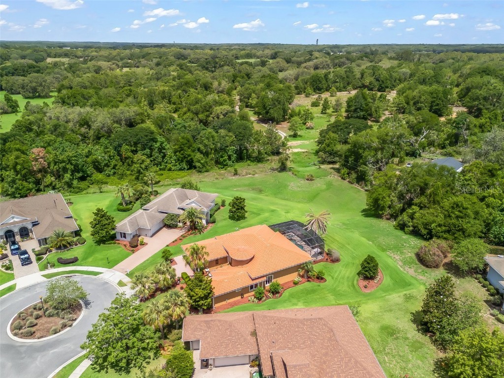 5235 Island Terrace Court Lady Lake FL 32159 - LAKE GRIFFIN G5097748 image55