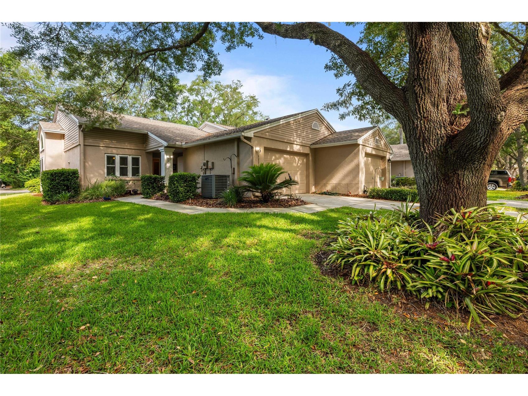 5235 Lochmead Terrace Zephyrhills FL 33541 TB8502476 image1