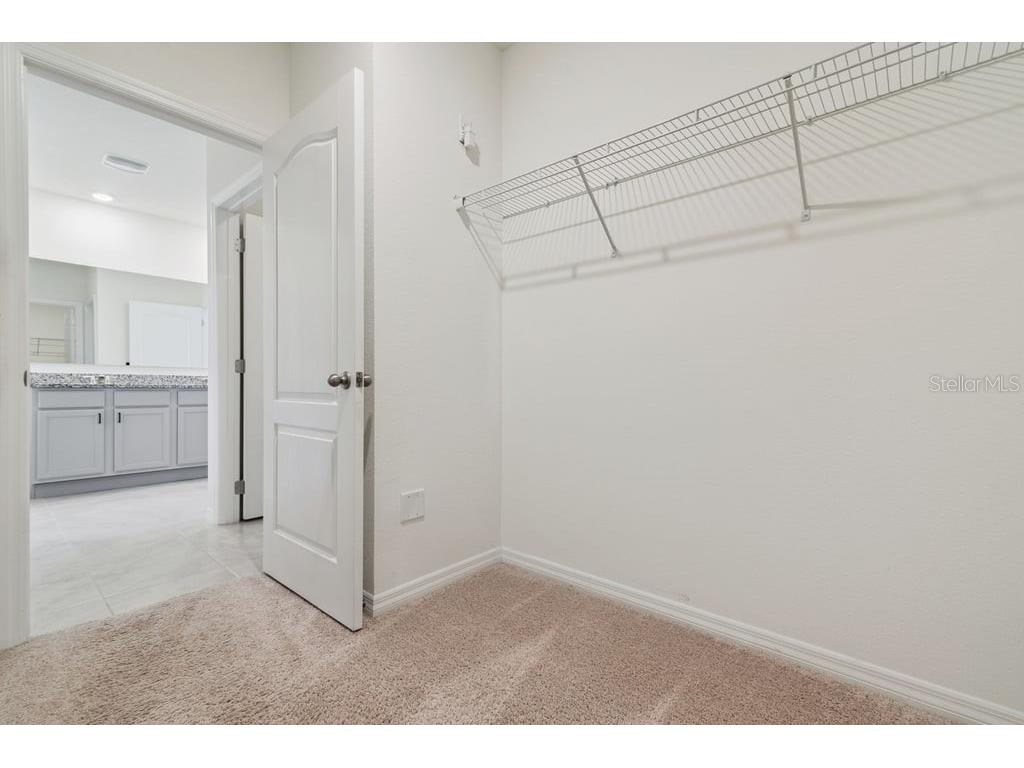 5235 Mahogany Drive Mount Dora FL 32757 S5147689 image29