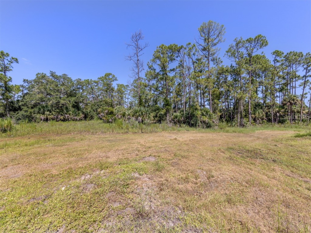 5236 Cromey Road North Port FL 34288 N6140029 image6