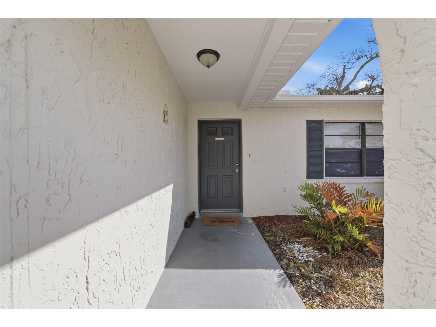 5236 Derby Avenue Spring Hill FL 34608 W7883843 image3