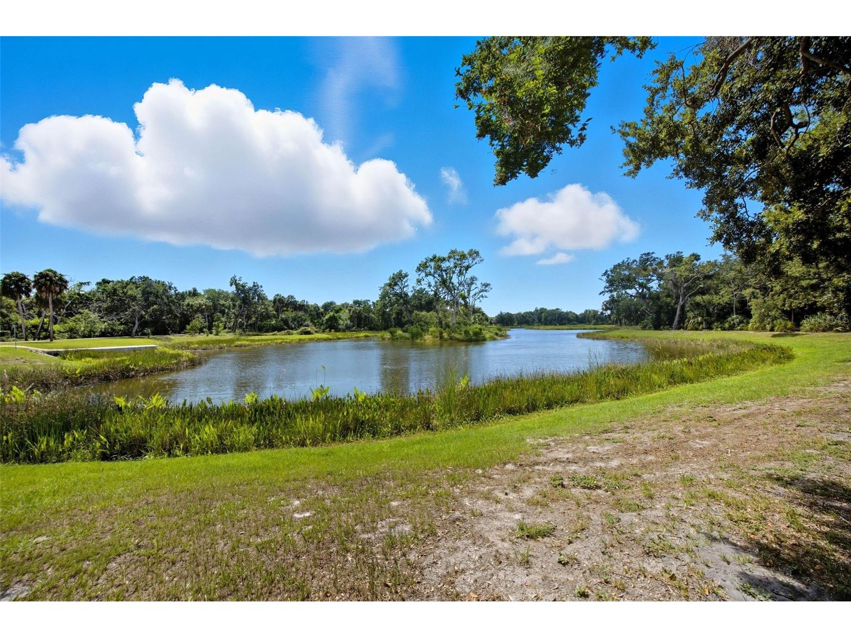 6236 S Martindale Avenue Tampa FL 33611 TB8489794 image26