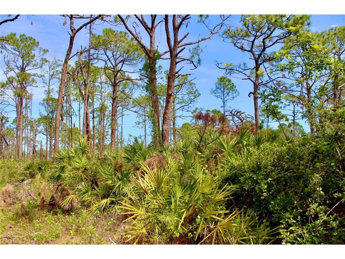 5237 Chaney Terrace Port Charlotte FL 33981 C7510499 image8