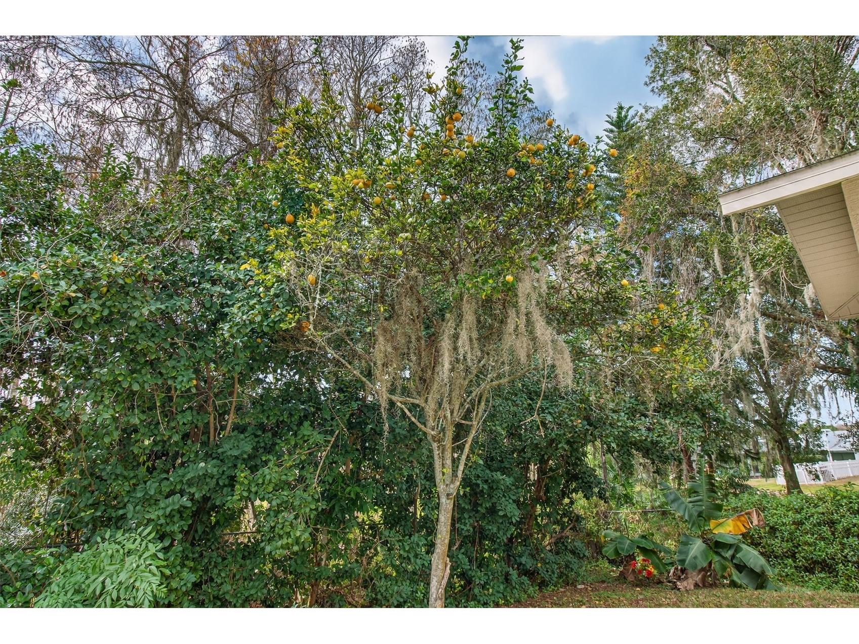 5237 Las Flores Viaduct New Port Richey FL 34655 TB8464129 image29