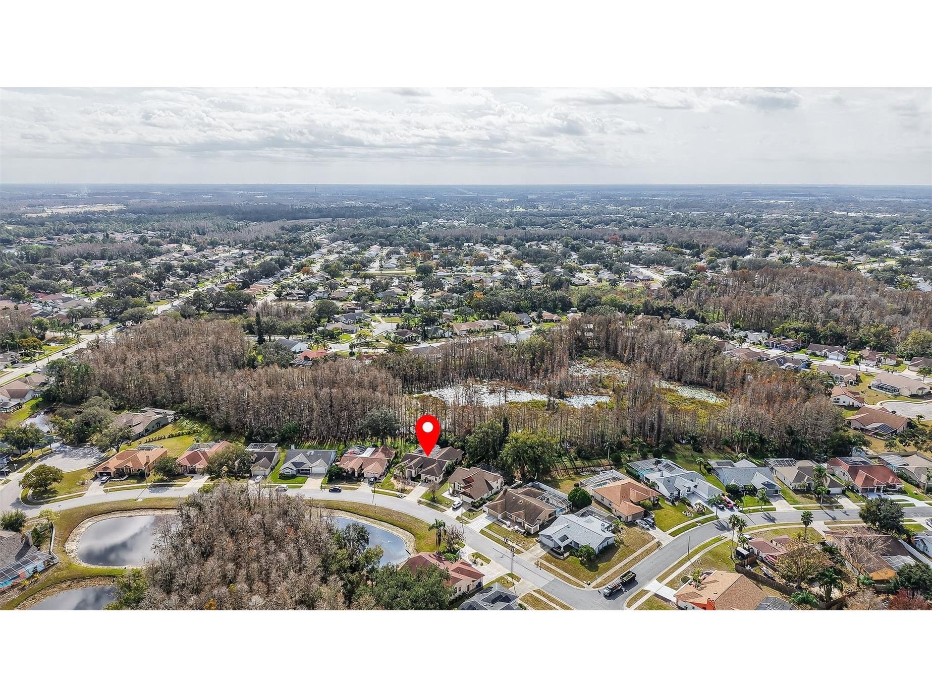 5237 Las Flores Viaduct New Port Richey FL 34655 TB8464129 image56