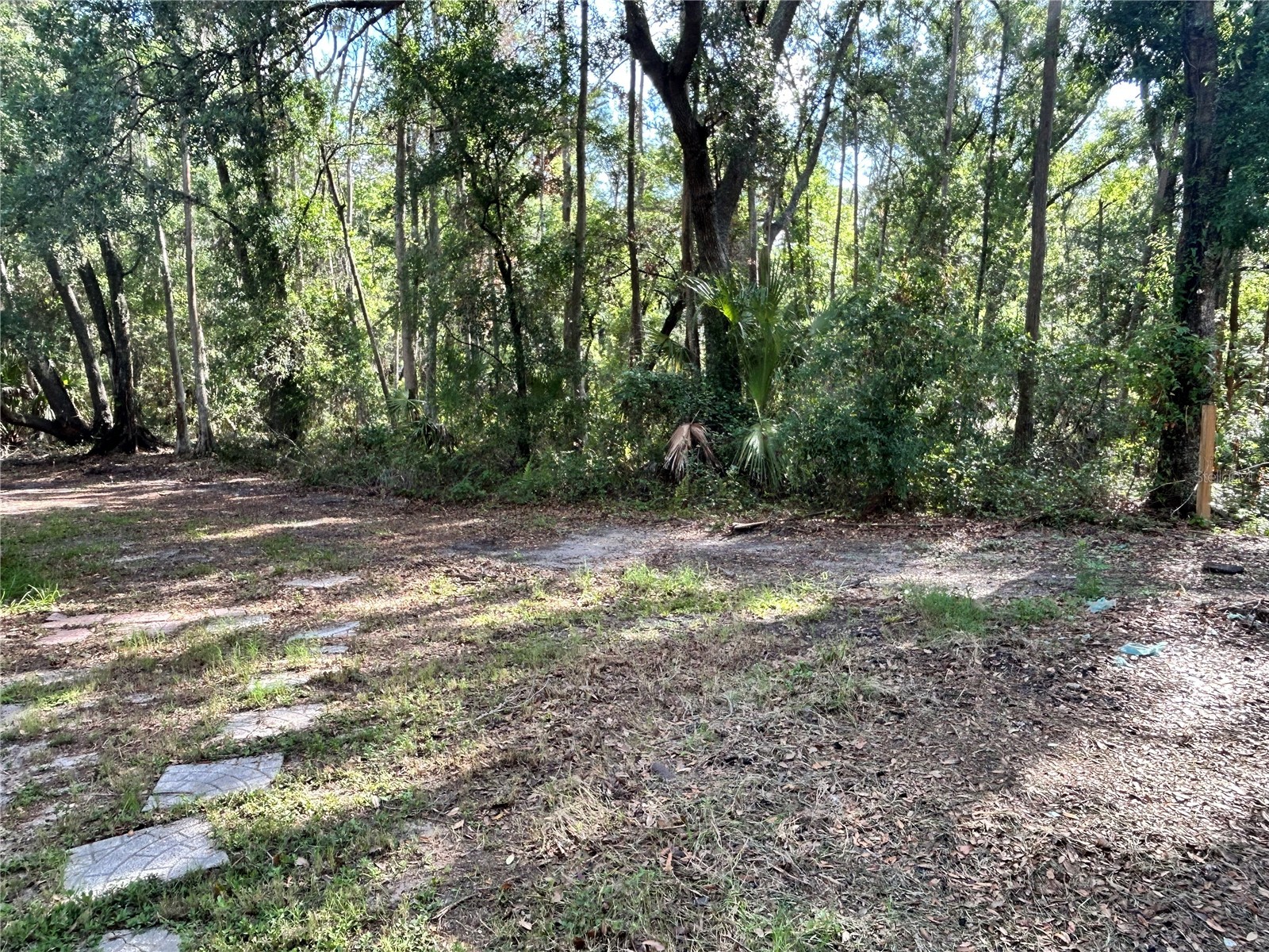 5237 Turtle Dove Trail Lakeland FL 33810 TB8519301 image34