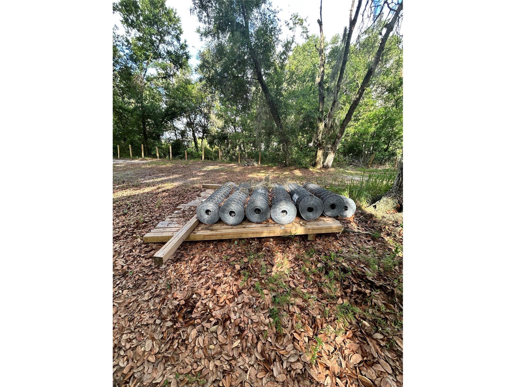 5237 Turtle Dove Trail Lakeland FL 33810 TB8519301 image39