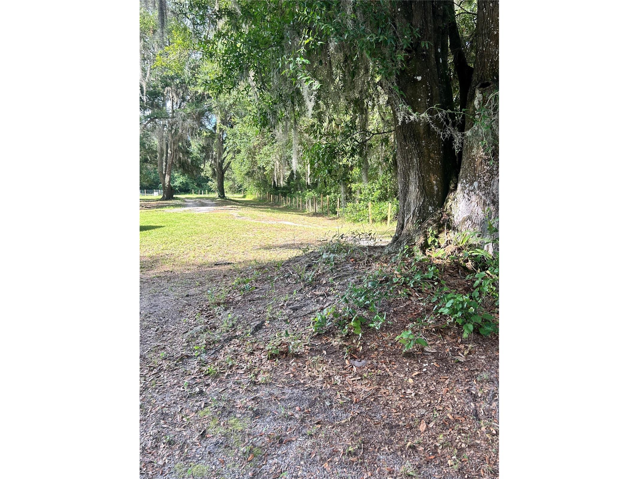 5237 Turtle Dove Trail Lakeland FL 33810 TB8519301 image40