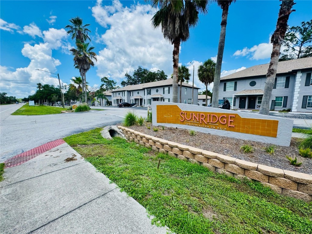 5238 Sunridge Palms Drive Tampa FL 33617 A4657704 image1