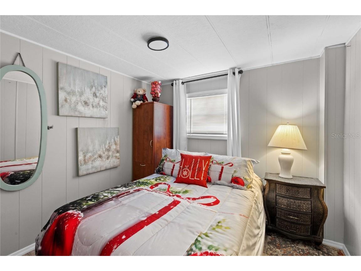 5239 Mary Street Zephyrhills FL 33542 TB8454486 image17