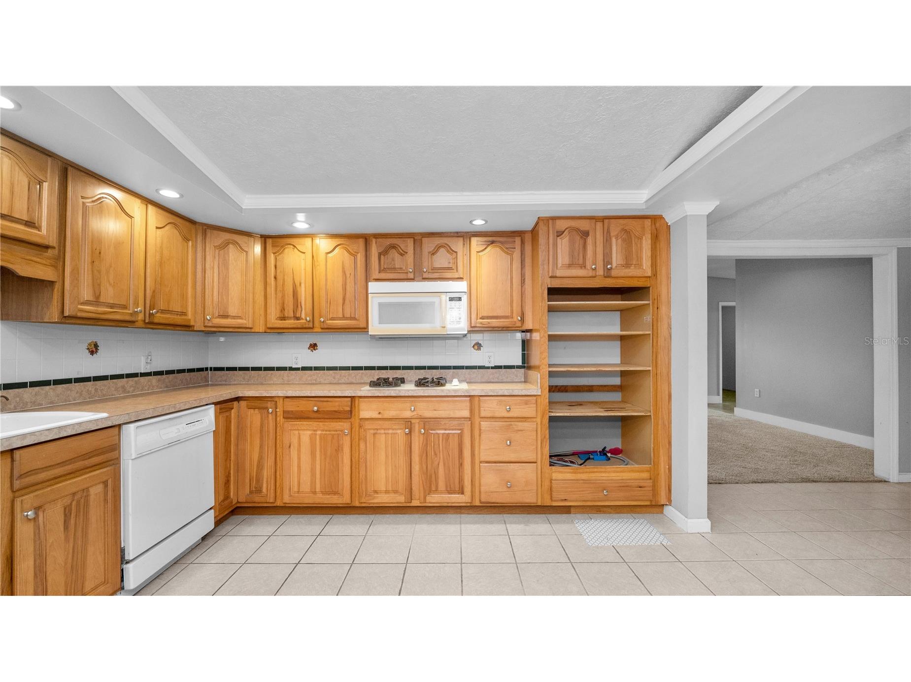 5239 Spring Creek Drive Lakeland FL 33811 L4960063 image36