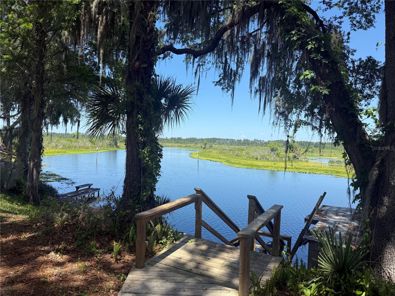 5239 W Riverbend Road Dunnellon FL 34433 OM720959 image1