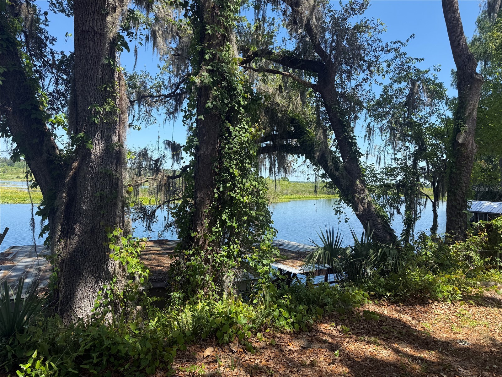 5239 W Riverbend Road Dunnellon FL 34433 OM720959 image5