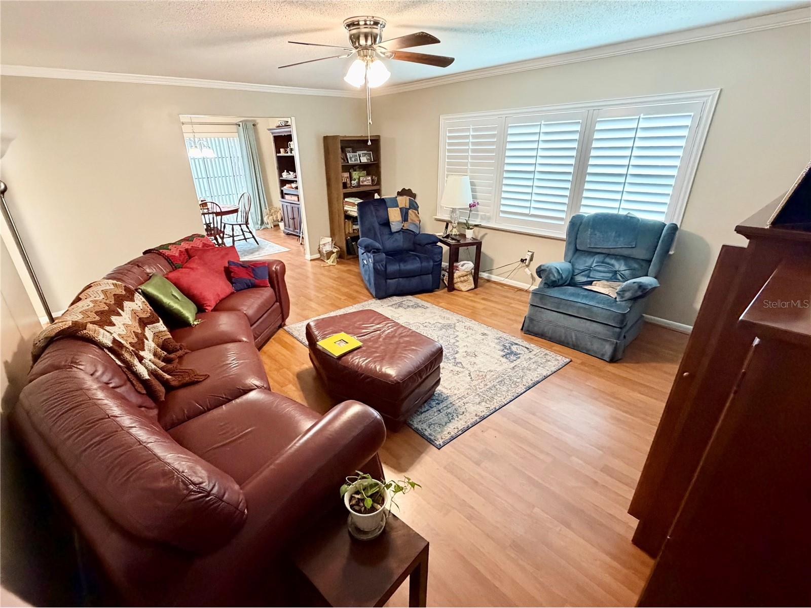 524 Cameo Drive Lakeland FL 33803 L4960286 image23