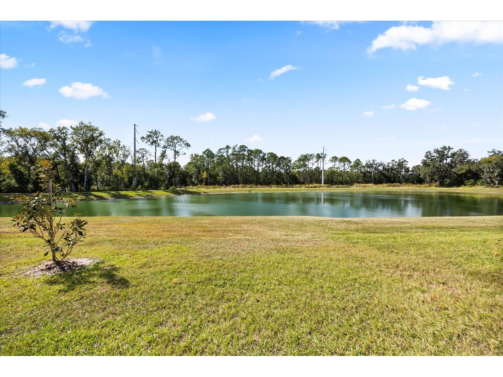 524 Carya Way Auburndale FL 33823 O6384705 image15