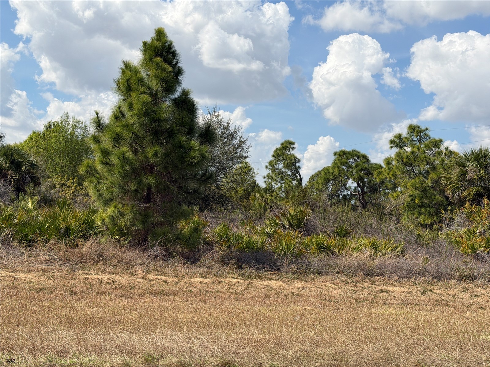 524 Columbus Boulevard S Lehigh Acres FL 33974 TB8478809 image1