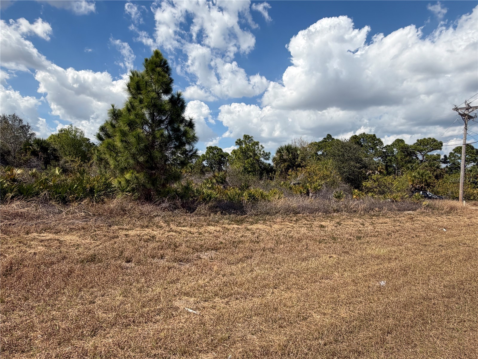 524 Columbus Boulevard S Lehigh Acres FL 33974 TB8478809 image2